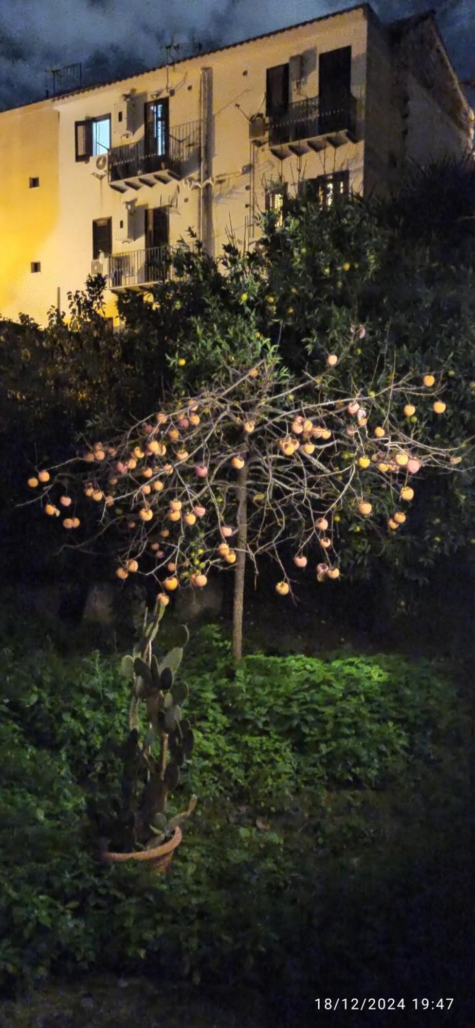 Jujube Hortus Apartment 4 Palermo Exteriör bild