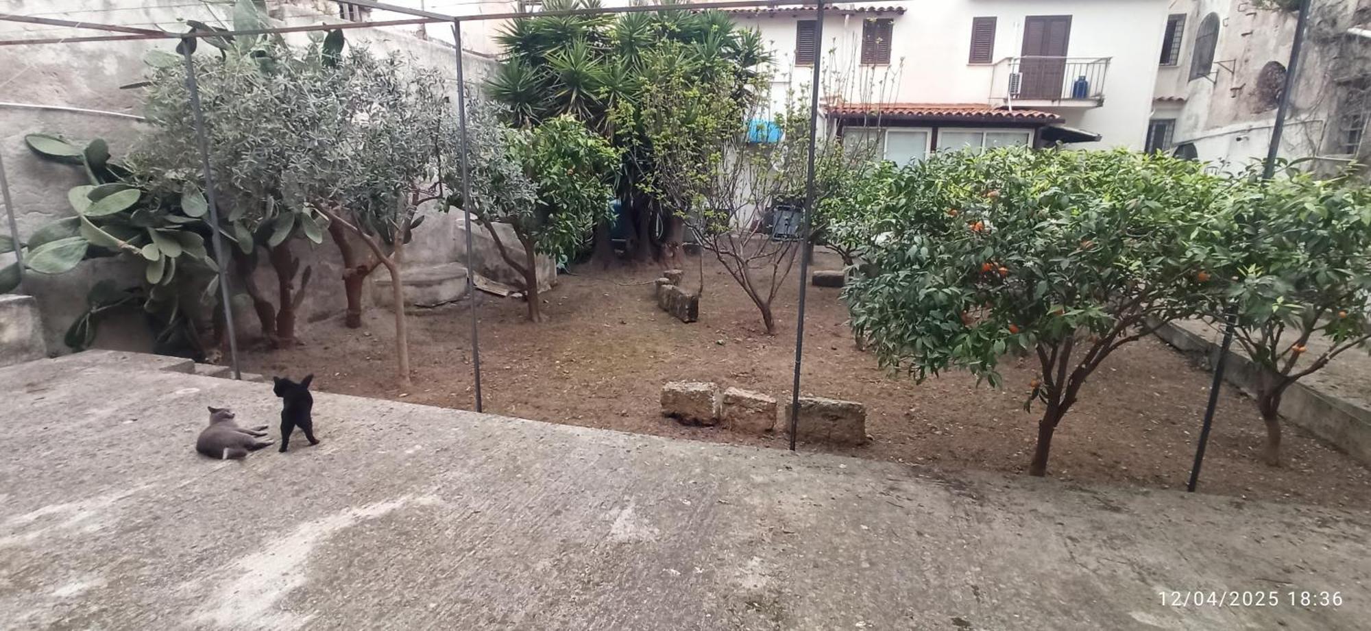 Jujube Hortus Apartment 4 Palermo Exteriör bild